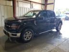 2025 Ford F150 XLT