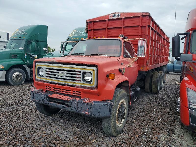 1979 Chevrolet Truck