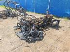 2023 Unknown 2023 Taiwan Golden BEE Xplorer ATV