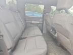 2025 Ford F150 XLT