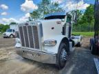 2019 Peterbilt 389 Semi Truck