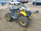 2019 Can-Am Renegade ATV