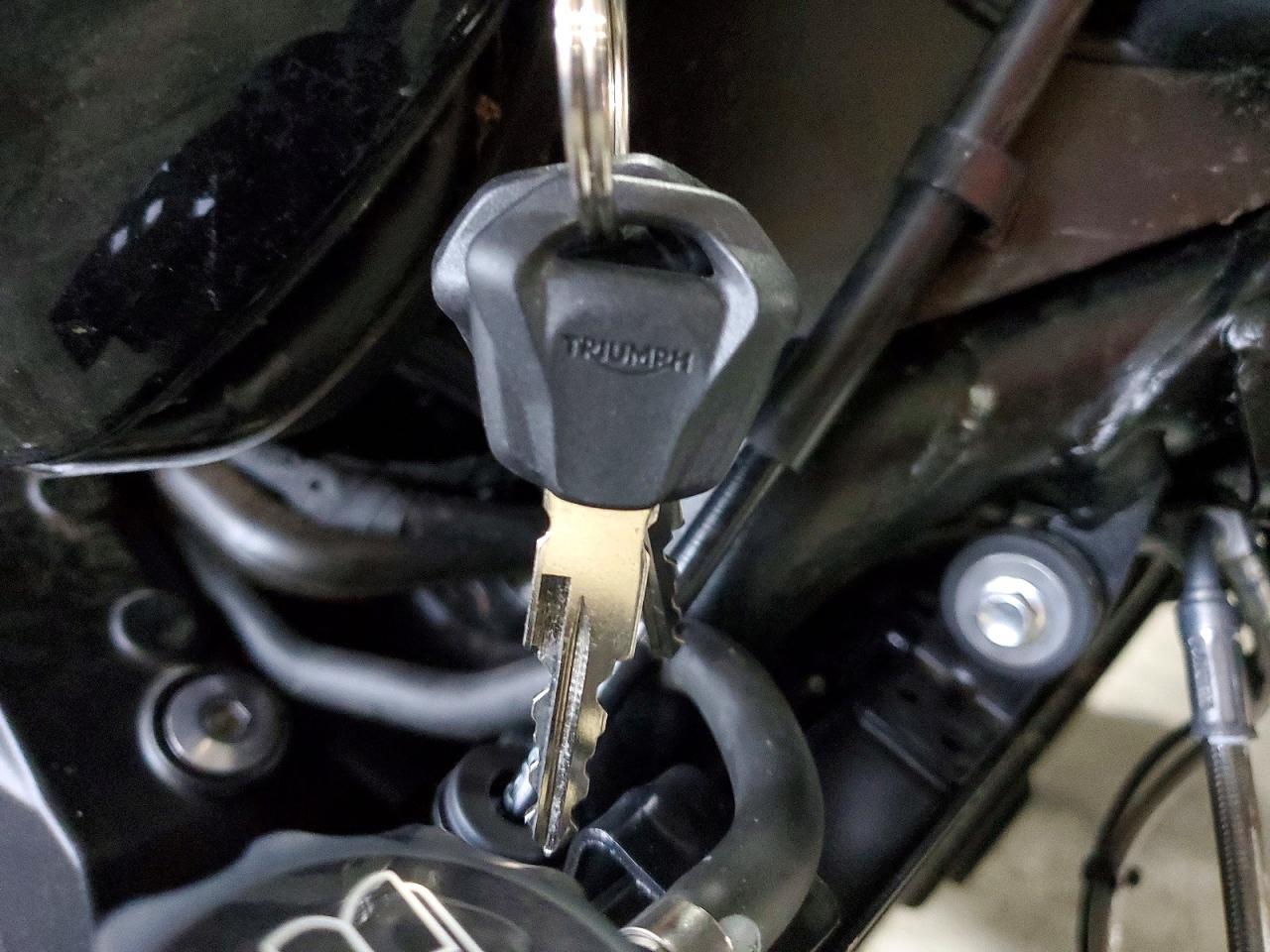 2026 Triumph Trident 800
