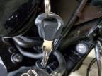 2026 Triumph Trident 800