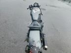2024 Honda CMX1100 D