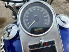 2006 Harley-Davidson Flstci