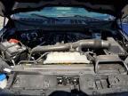 2025 Ford F150 XLT