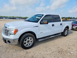 2014 Ford F150 Supercrew en venta en San Antonio, TX