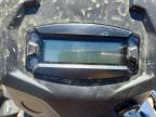 2025 Kawasaki Brute Force 450 ATV