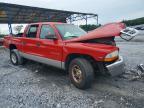 2000 Dodge Dakota Quattro