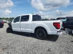 2025 Ford F150 XLT