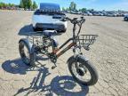 2022 Dw Meigi Electronic FAT Tricycle