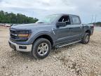2025 Ford F150 XLT