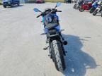 2024 Suzuki GSX800 F
