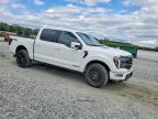 2025 Ford F150 Platinum