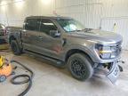 2024 Ford F150 XLT