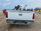 2024 Ford F150 XLT