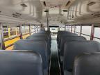 2012 Blub 2012 Bluebird Vision-School Bus