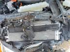 2024 Ford F150 XLT