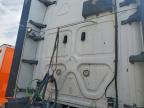 2019 Freightliner Cascadia 126 Semi Truck
