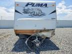 2010 Puma Palomino