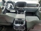 2025 Ford F150 XLT