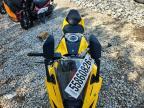 2024 Suzuki GSX800 F