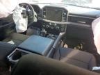 2025 Ford F150 XLT