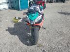 2020 Aprilia Tuono