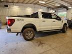 2025 Ford F150 XLT