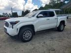 2025 Toyota Tacoma Limited HV