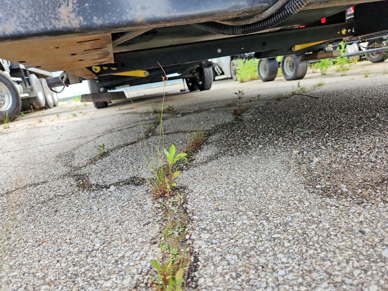 2020 Foresriver 2020 Forest River Signature Camper
