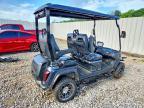 2024 Evolution Golf Cart