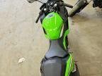 2025 Kawasaki EX500 H