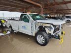 2024 Ford F150 XL