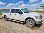 2013 Ford F150 XLT
