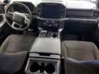 2025 Ford F150 XLT