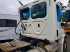 2018 Frht CASCAIA113