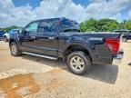 2025 Ford F150 XLT