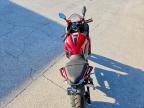 2025 Vitacci GTX 250 EF