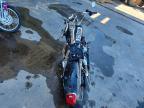 2009 Harley-Davidson Fxdl
