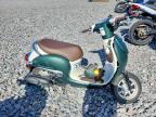 2024 Honda NCW50