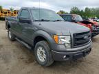 2013 Ford F150