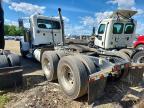 2019 Peterbilt 389 Semi Truck