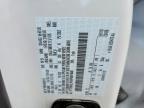2024 Ford F150 STX