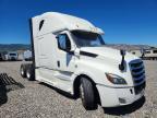 2019 Freightliner Cascadia 126 Semi Truck