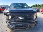 2025 Ford F150 XLT