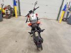 2025 Cf Moto 300NK