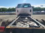2024 International CV515