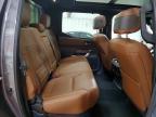 2023 Toyota Tundra 1794 Edition